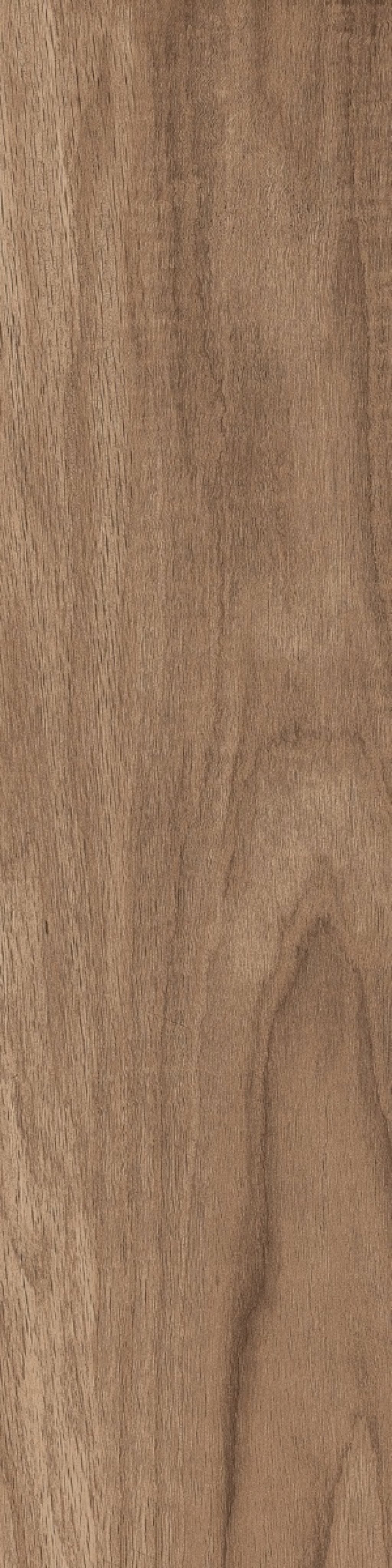 Muestra de color del porcelanato tipo madera Dune Oak 60×120 cm de BRENETI, tono roble claro con textura sutil y acabado mate.